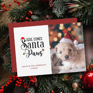 Cartão De Festividades Foto de Natal do Cachorro Aqui Vem o Papai Noel de
