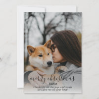 Foto de Natal do Cachorro da parte do Cachorro