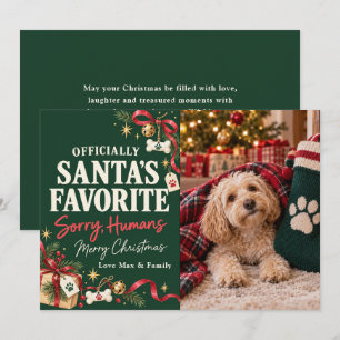 Cartão De Festividades Foto de Natal do Cachorro Engraçado Favorito do Pa