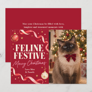 Cartão De Festividades Foto de Natal do Gato Festivo Felino