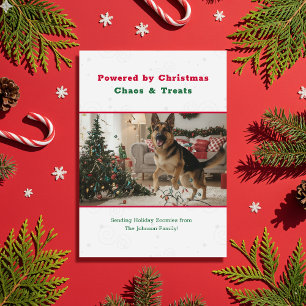 Cartão De Festividades Foto de Natal Engraçada de Cachorro Pet Antigo