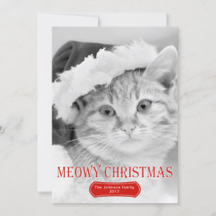 Cartão De Festividades Foto de Natal meownatalina vermelha gatinha