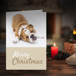 Cartão De Festividades Foto de Natal para Bulldog Inglês