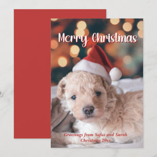 Cartão De Festividades Foto de papoila Feliz Natal