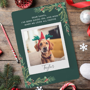 Cartão De Festividades Foto de Pet Bonita Script Engraçado Cachorro Natal