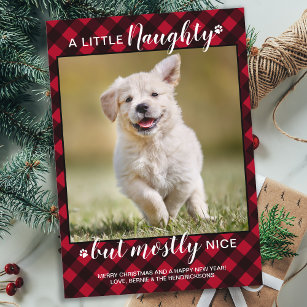 Cartão De Festividades Foto de Pet de Cachorro de Xadrez Vermelha Persona