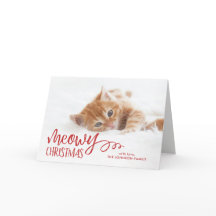 Foto de Pet de Gato Feliz de Natal