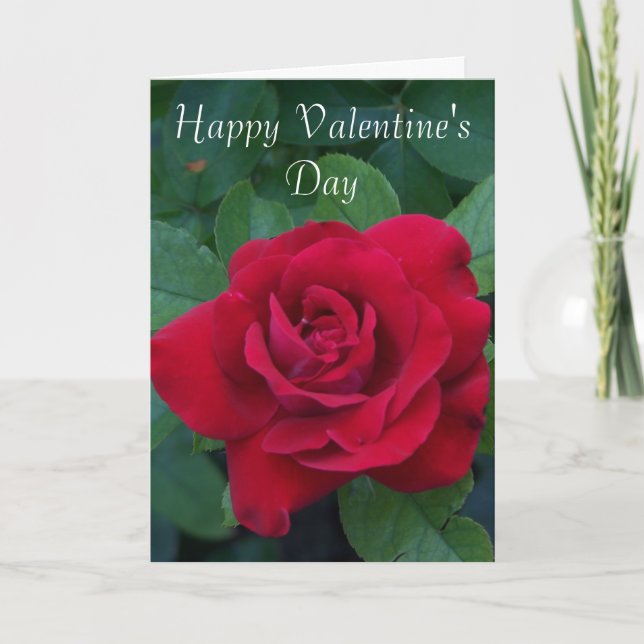 Cartão De Festividades Foto de rosa vermelha (Frente)