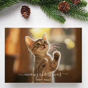 Cartão De Festividades Foto de Sobreposição de Gato Engraçado de Natal