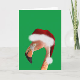 Cartão De Festividades Foto de um flamingo rosa em um chapéu vermelho de 