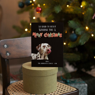 Cartão De Festividades Foto Divertida de Cachorro com Biscoito de Natal