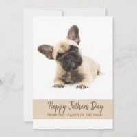 Foto do Bulldog Francês Personalizado para Dia de 