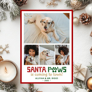 Cartão De Festividades Foto do Cão Santa Paws