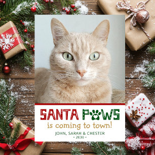Cartão De Festividades Foto do Gato Santa Paws