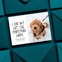 Foto engraçada de ano novo de animal preto e branc