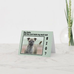 Cartão De Festividades Foto engraçada de cachorro mestiço no Natal 