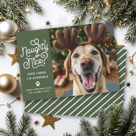 Cartão De Festividades Foto engraçada de cachorro ou gato fofo e safado