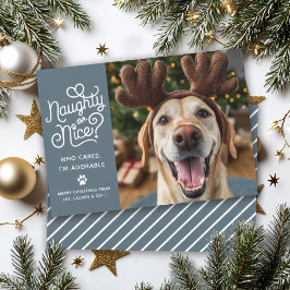 Cartão De Festividades Foto engraçada de cachorro ou gato fofo e safado