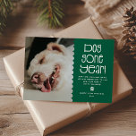 Cartão De Festividades Foto Engraçada de 'Cachorro Passado'<br><div class="desc">Procurando o cartão de férias perfeito para mostrar seu querido pelouro - Não olhe mais! Este cartão com fotos moderno e humorístico trará um sorriso aos rostos dos seus amigos e familiares. Personalize o cartão com o nome do seu animal de estimação e o seu sobrenome, juntamente com uma mensagem...</div>