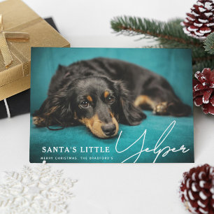 Cartão De Festividades Foto engraçada de cachorro 'Pequeno ajudante do Pa