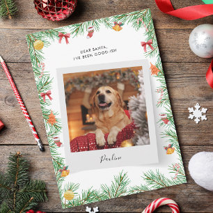 Cartão De Festividades Foto Engraçada de Cachorro Pet Belo Natal Personal