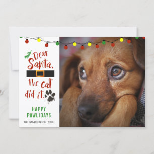 Cartão De Festividades Foto engraçada de cachorro travesso, PAPAIS NOEIS