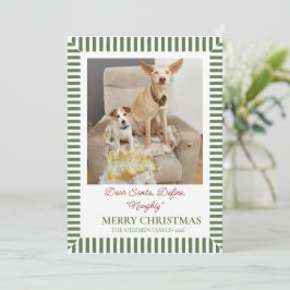 Cartão De Festividades Foto engraçada de Natal de cachorro