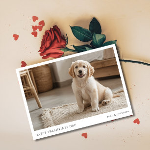 Cartão De Festividades Foto engraçada do cachorro da raça Golden Retrieve