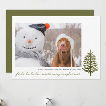foto engraçada e fofa de cachorro de estimação de