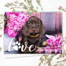 Foto personalizada de Cachorro Pet Puppy Pet Puppy