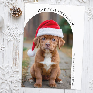 Cartão De Festividades Foto Personalizada De Cão De Pet De Natal De Arch 