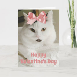 Cartão De Festividades Foto Personalizada Personalizada de Gato de Gato d