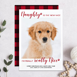 Cartão De Festividades Foto Pet Personalizada Naught Belo Xadrez de Buffa