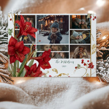 Foto Red Amaryllis Natal Russo