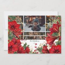 Foto Red Amaryllis Natal Rustic