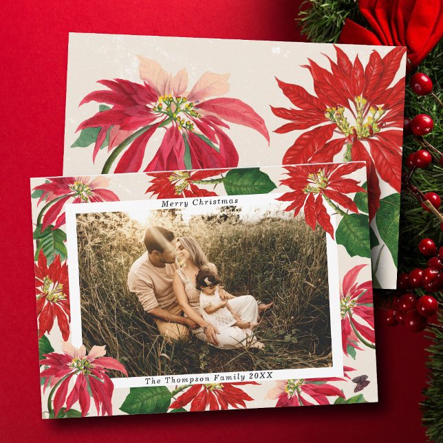 Cartão De Festividades Foto Simples da Família Poinsettia Moderna no Nata (Simple Modern Poinsettia Family Photo Christmas Holiday Card)