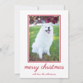 Cartão De Festividades Foto Simples de Cachorro Bonito Natal