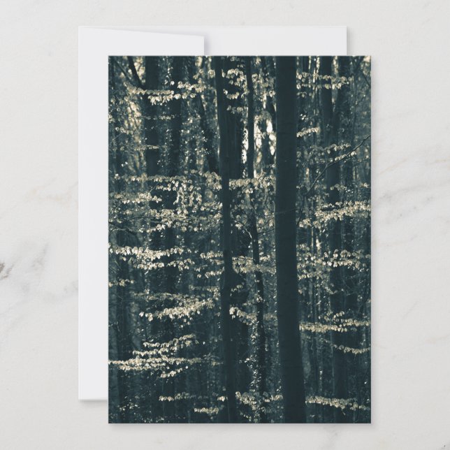 Cartão De Festividades Fotografia da floresta Beech (Frente)