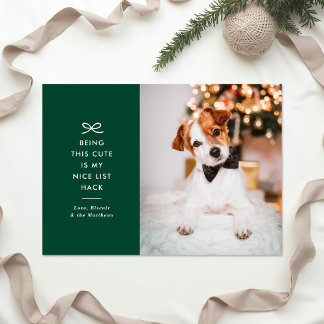 Cartão De Festividades Fotos de Natal de Animais de Estimação com Arco Mi