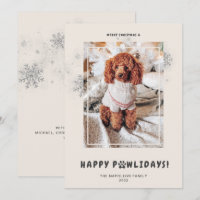 Fotos de Natal Fofo Feliz PAWlidays Animais de Est