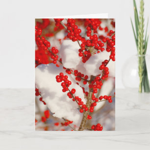 Cartão De Festividades Fotos de Neve com Frutas Vermelhas Natal Xmas Féri