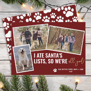 Cartão De Festividades Fotos Engraçadas de Cachorro Foto de Natal Persona