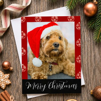 Cartão De Festividades Fotos Personalizadas de Cães Feliz Natal Ornamento