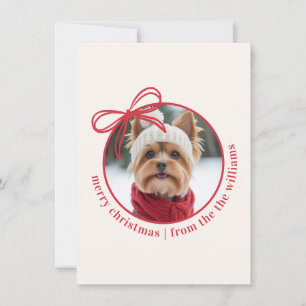 Cartão De Festividades Fotos Personalizadas de Família e Animais de Estim