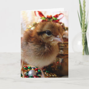 Cartão De Festividades Frango de Natal Festivo 