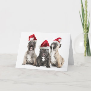 Cartão De Festividades French bulldog puppies sing wearing Santa hats
