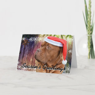 Cartão De Festividades French Mastiff Christmas card