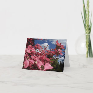 Cartão De Festividades Friends Garden Blank Inside Note Cards Variety