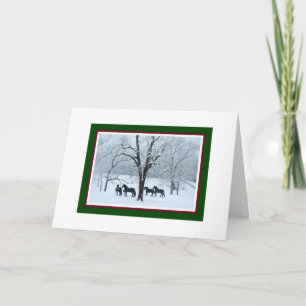 Cartão De Festividades Friesian Horses in Snow Christmas Card