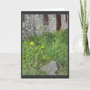 Cartão De Festividades ..from the parent.. 3